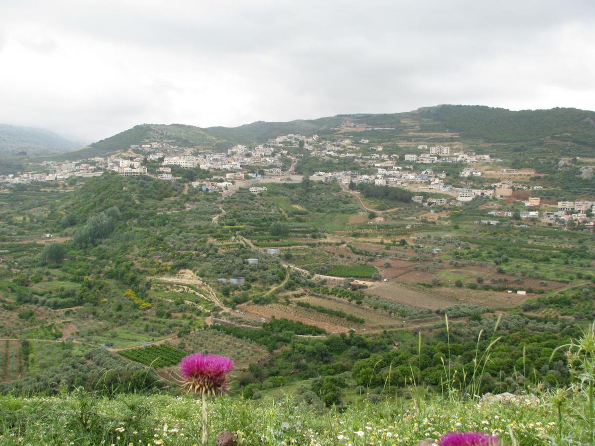 Tourism In The Village Ein Kinya Exterior foto